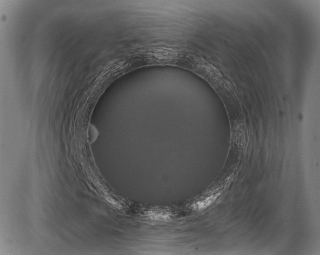 X0000084051009200702161501