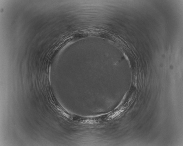 X0000084051010200702161501