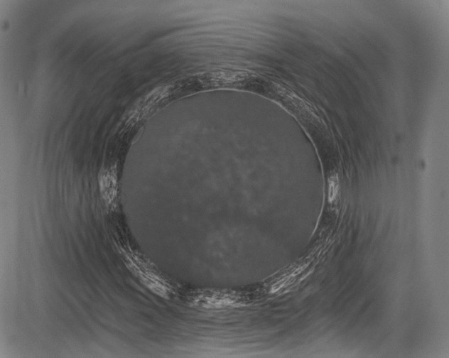 X0000084051011200702161501