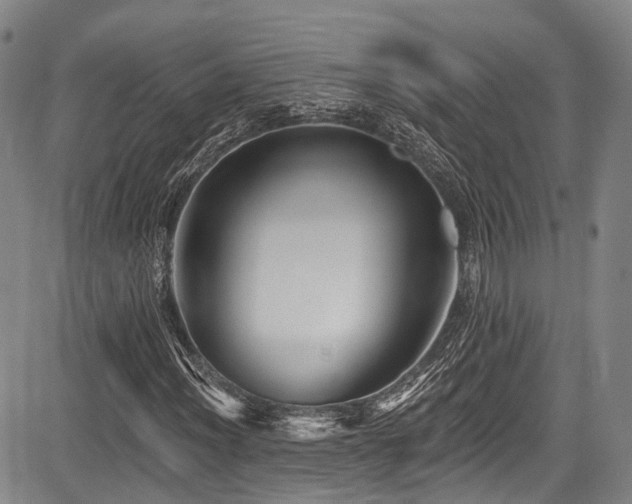 X0000084051012200702161501