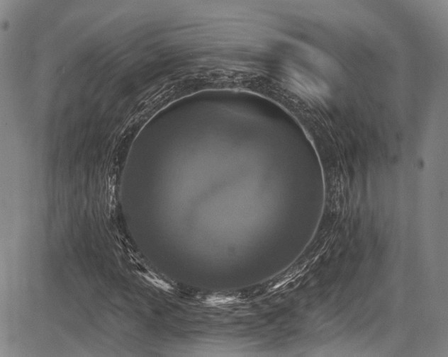 X0000084051013200702161501