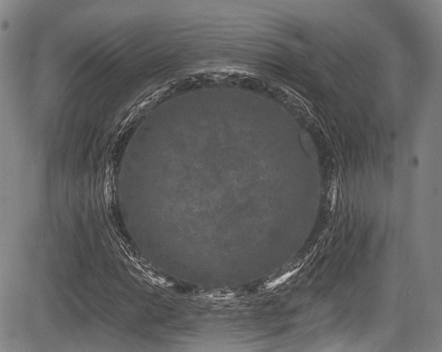 X0000084051014200702161501