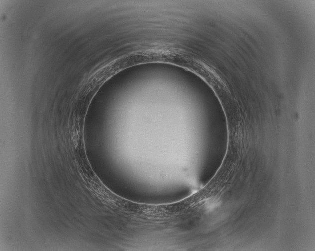 X0000084051015200702161501