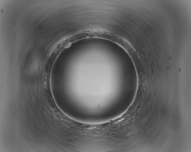 X0000084051016200702161501