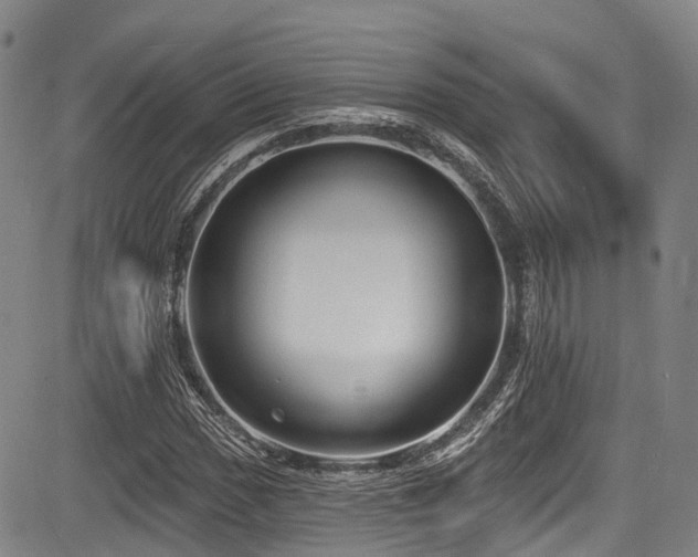 X0000084051017200702161501