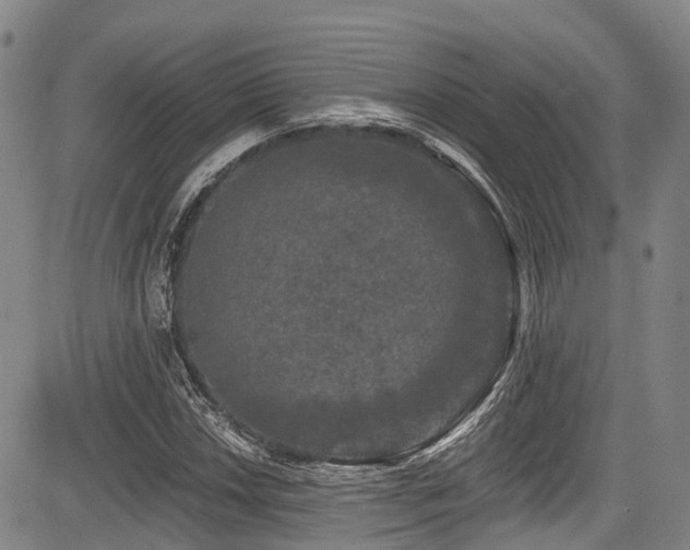 X0000084051018200702161501