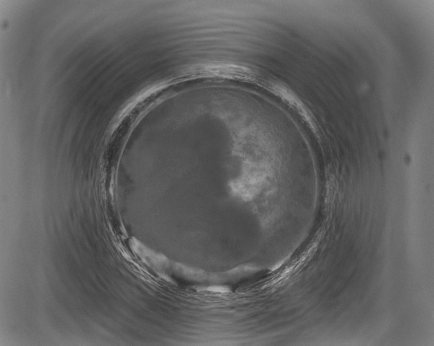 X0000084051019200702161501