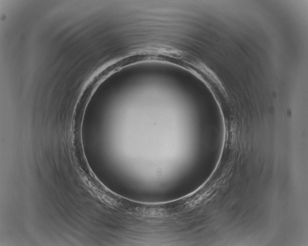 X0000084051020200702161501