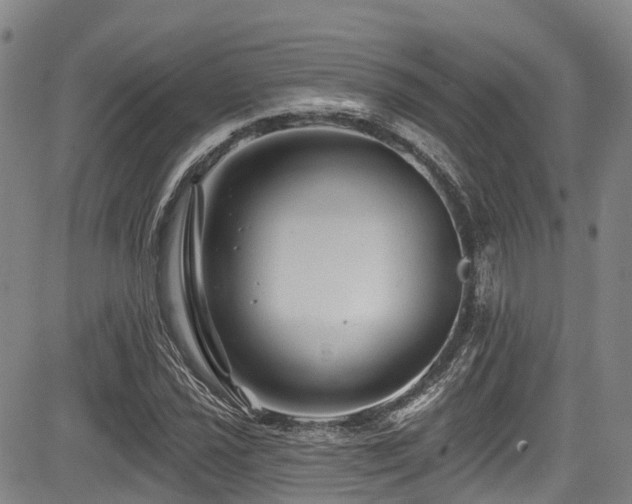 X0000084051021200702161501