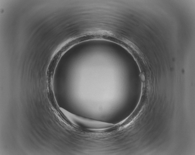 X0000084051022200702161501