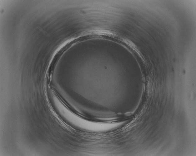 X0000084051024200702161501