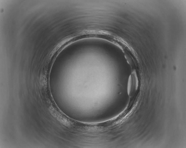 X0000084051025200702161501