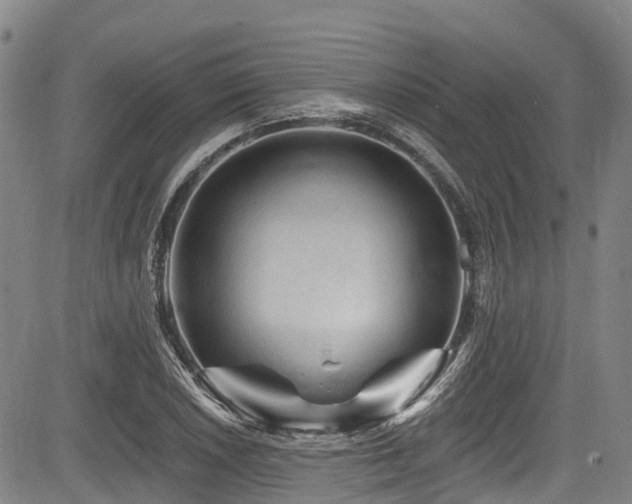 X0000084051026200702161502