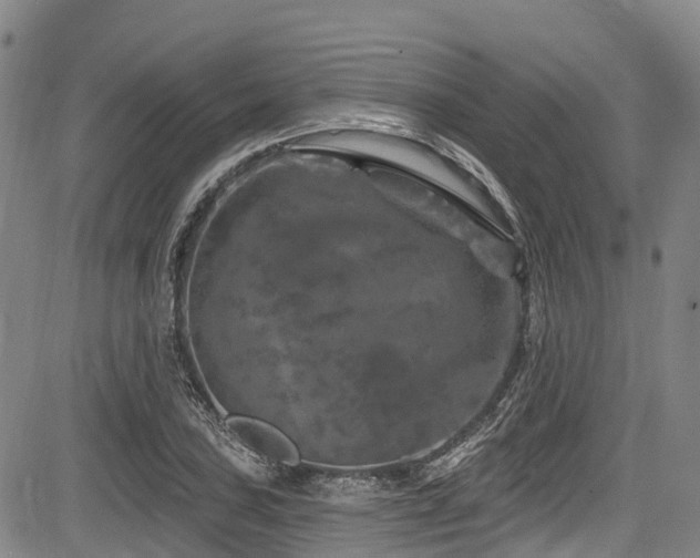 X0000084051027200702161502