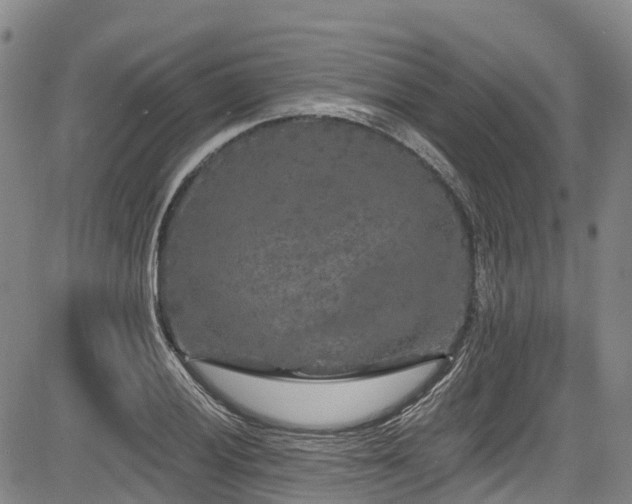 X0000084051028200702161502