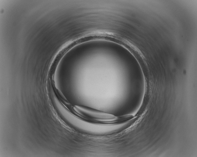 X0000084051029200702161502