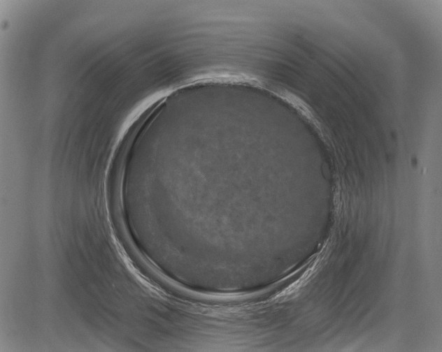 X0000084051030200702161502