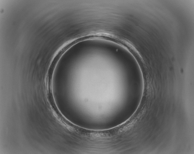 X0000084051032200702161502