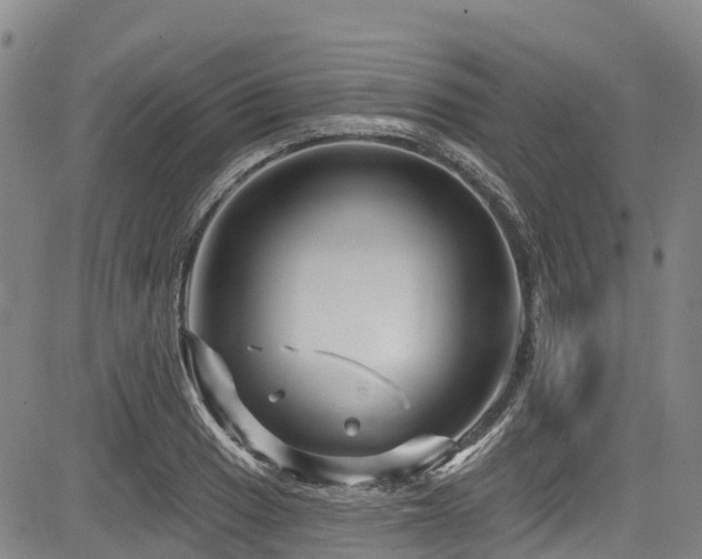 X0000084051033200702161502