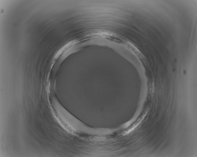 X0000084051034200702161502