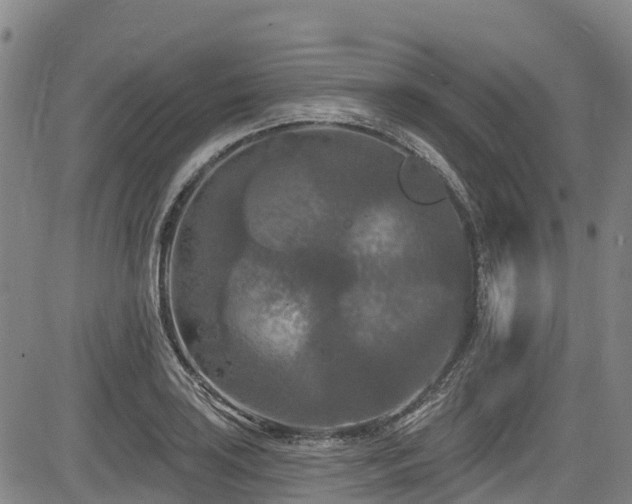 X0000084051035200702161502