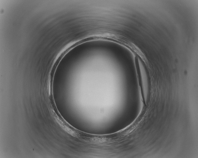 X0000084051036200702161502