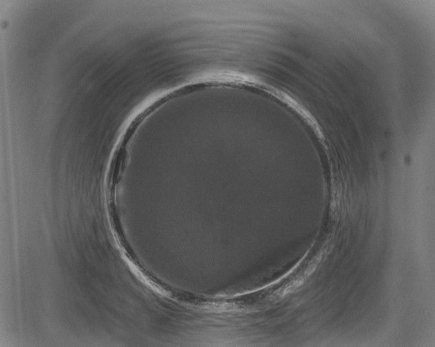 X0000084051037200702161502