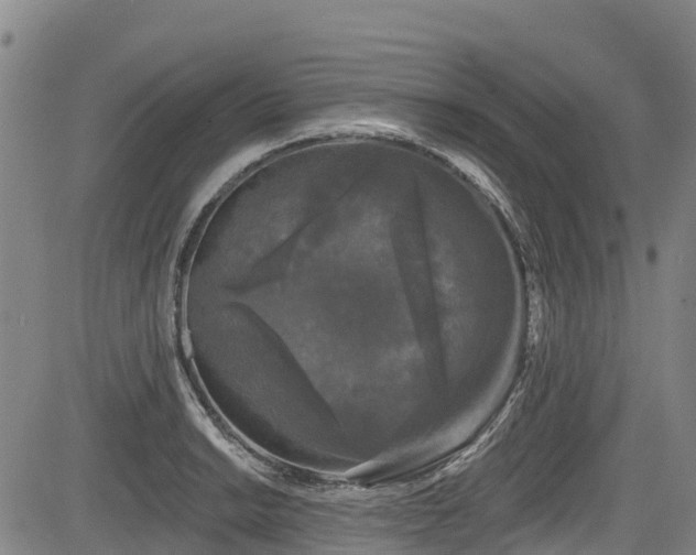 X0000084051038200702161502