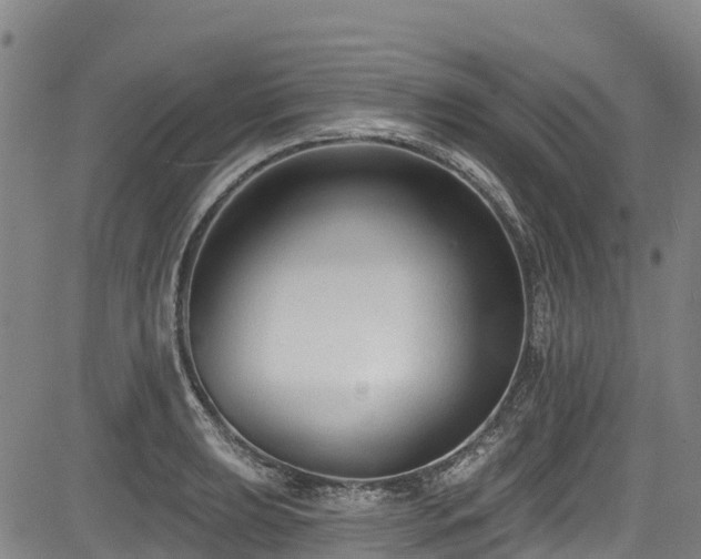 X0000084051039200702161502