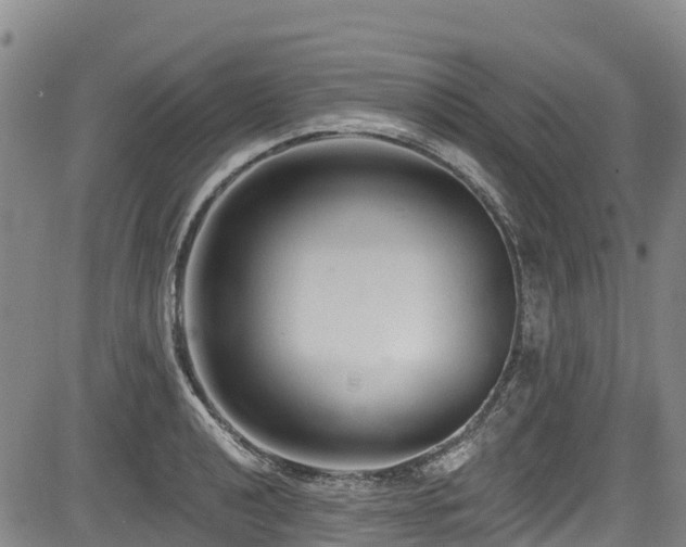 X0000084051040200702161502