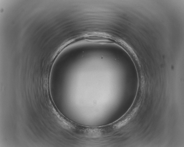 X0000084051041200702161502