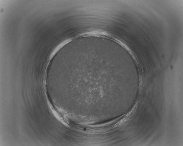 X0000084051042200702161502