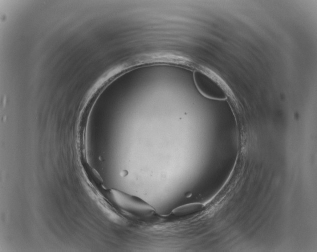 X0000084051043200702161502