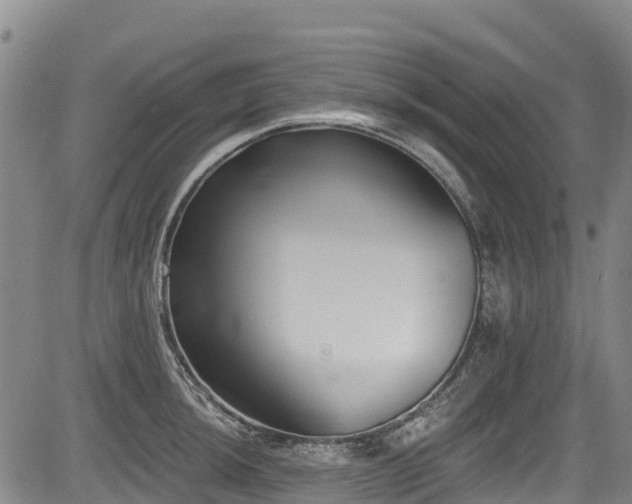 X0000084051044200702161502