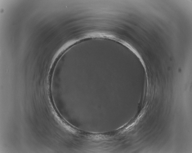 X0000084051045200702161502