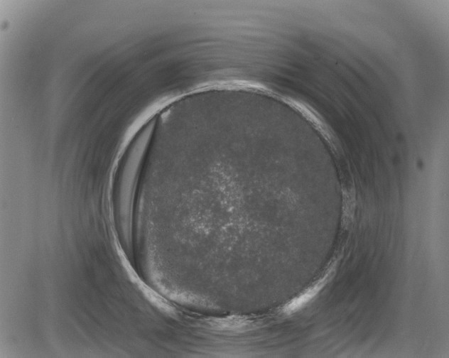 X0000084051046200702161502