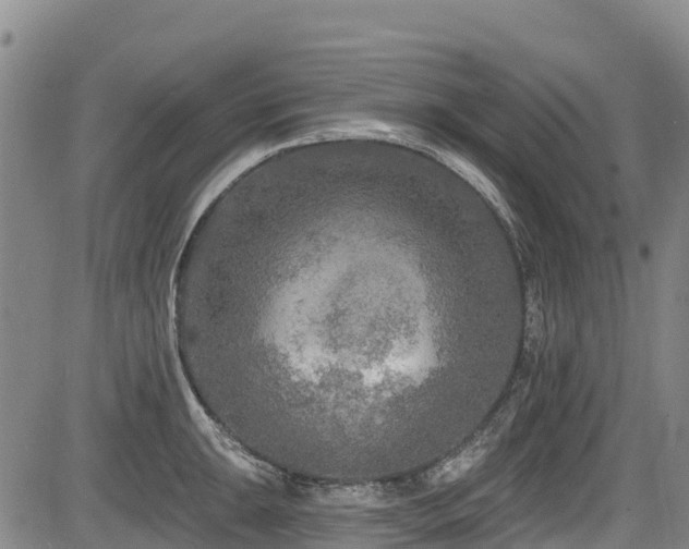 X0000084051047200702161502