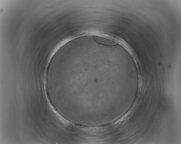 X0000084051048200702161502