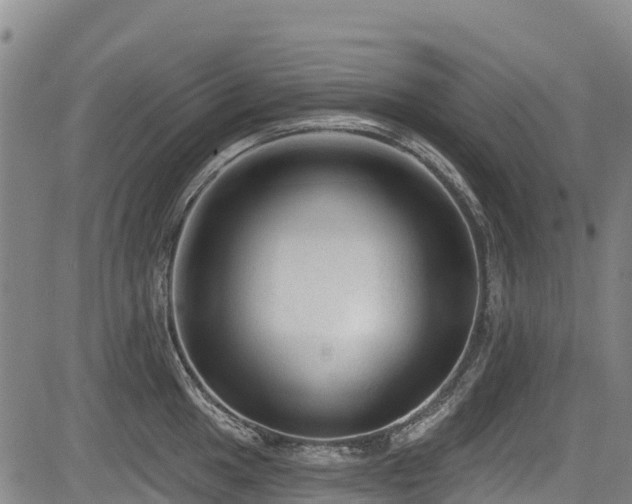 X0000084051049200702161502