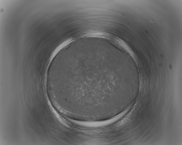 X0000084051050200702161502