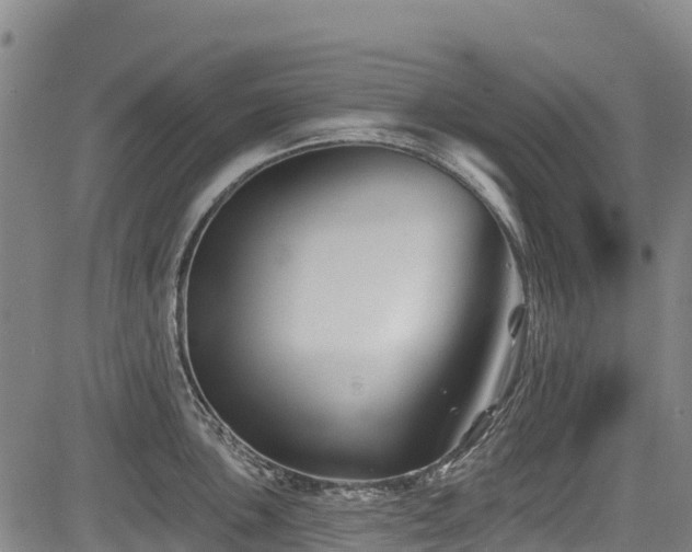 X0000084051051200702161502