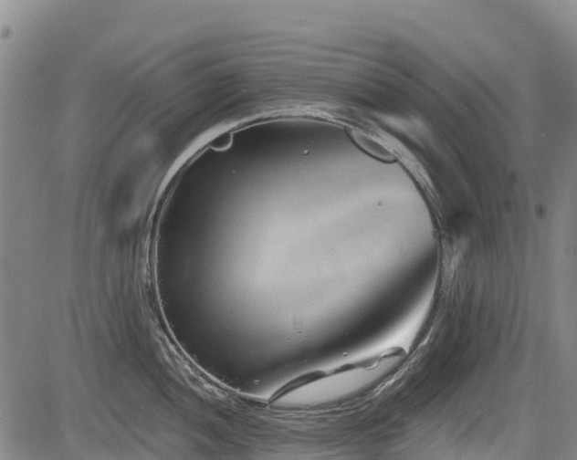 X0000084051052200702161502