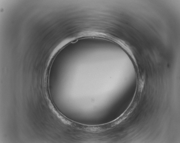 X0000084051053200702161502