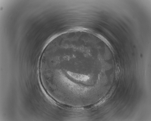 X0000084051055200702161502