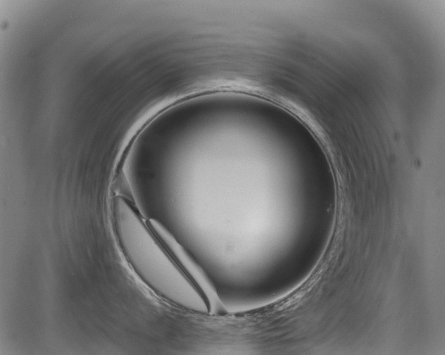 X0000084051056200702161502