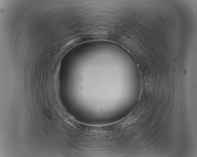 X0000084051057200702161501