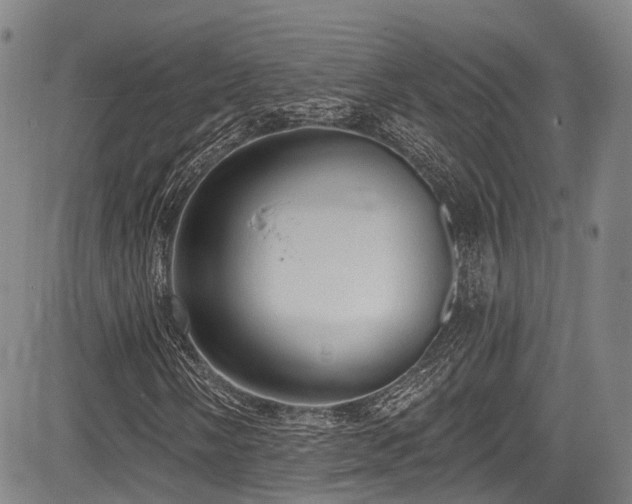 X0000084051058200702161501