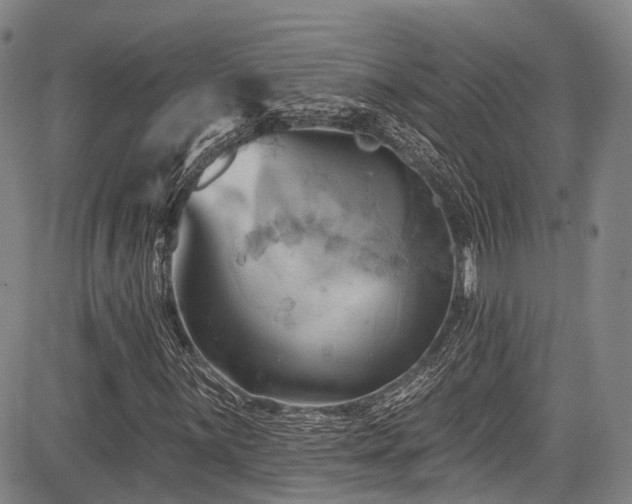 X0000084051059200702161501