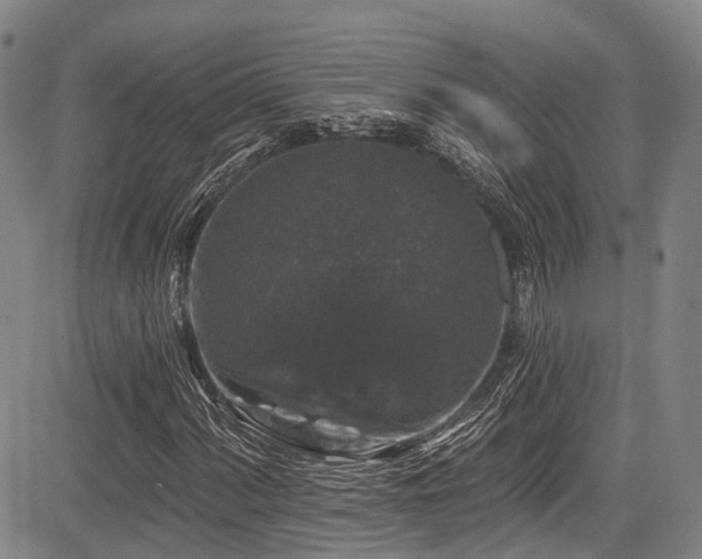 X0000084051060200702161501