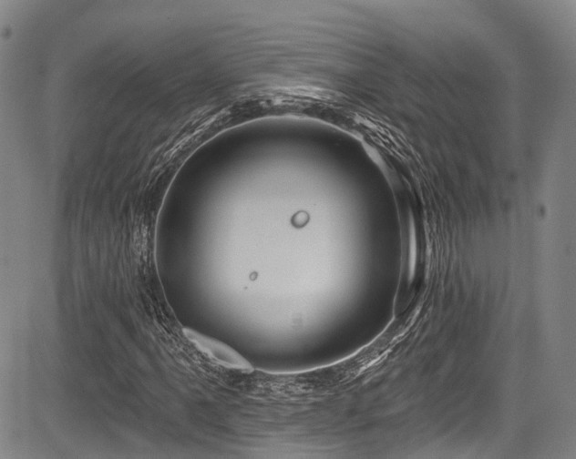 X0000084051061200702161501